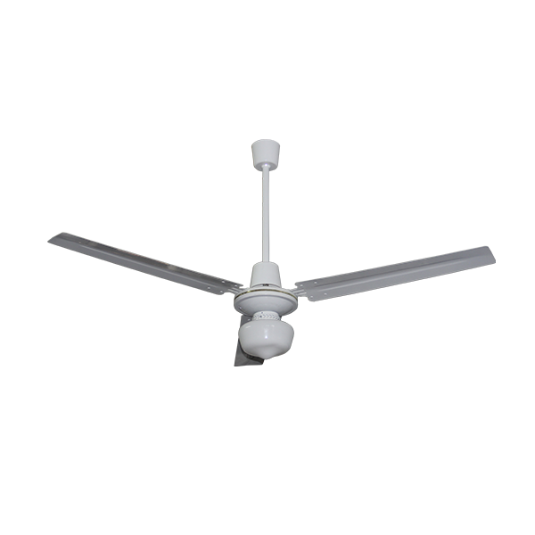 Ceiling Fan with Light